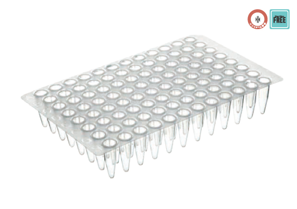 【Pola Laboratory専用】 magic PLANT - パイロットプラント,