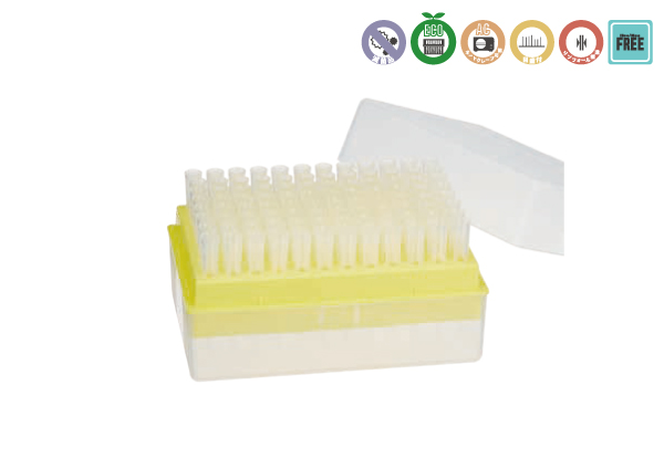 【極美品】抗菌性物質医薬品ハンドブック 2000 治療薬ハンドブック 2025 / 堀 正二/菅野 健太郎/門脇 孝/乾